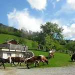 Alloggio per agriturismo Berghof Thurnergut Spital Am Pyhrn