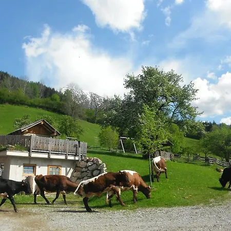 Farma Berghof Thurnergut Spital Am Pyhrn