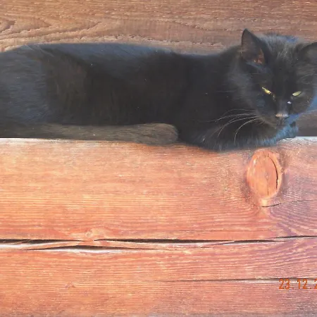 팜스테이 Berghof Thurnergut