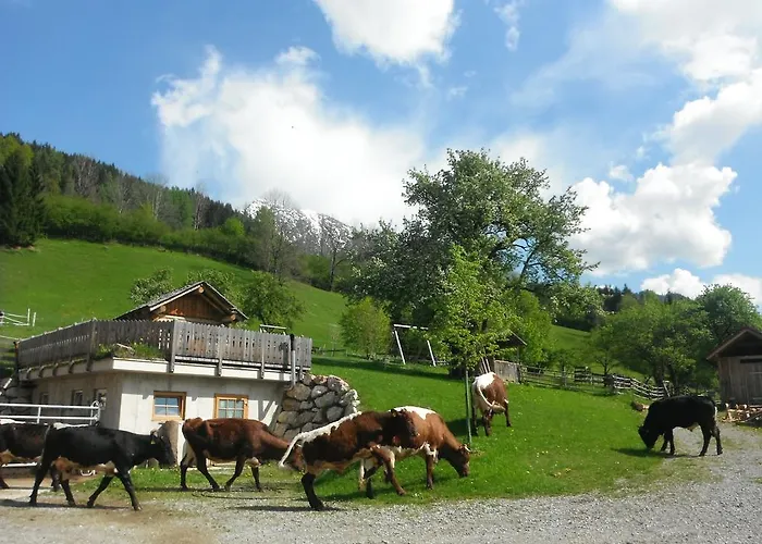 Vakantieboerderij Berghof Thurnergut Spital Am Pyhrn