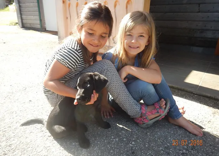 Berghof Thurnergut Vakantieboerderij Spital Am Pyhrn