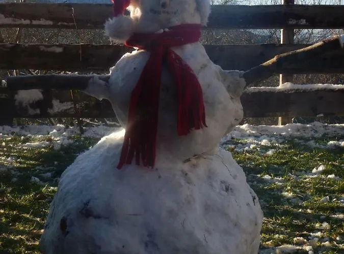Berghof Thurnergut Vakantieboerderij Spital Am Pyhrn