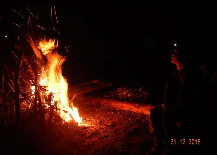 בית חווה Berghof Thurnergut ספיטל אם פיהרן