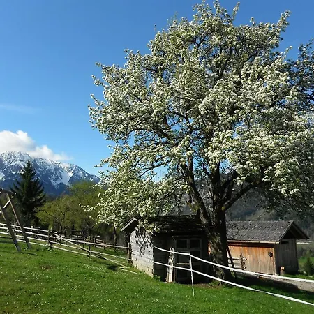 Farm stay Berghof Thurnergut *