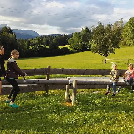 Berghof Thurnergut Farm stay Spital Am Pyhrn