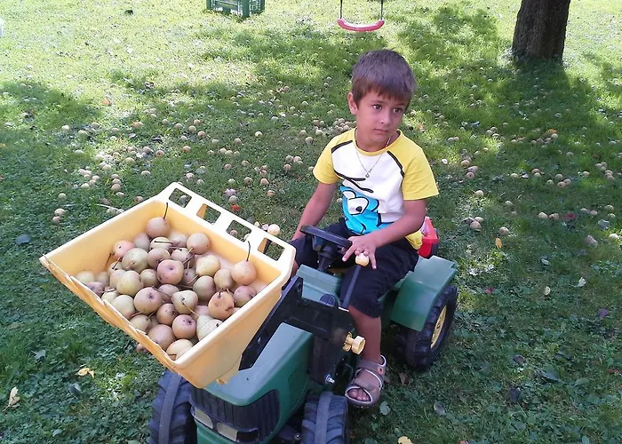 Berghof Thurnergut Spital Am Pyhrn