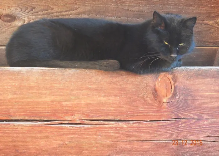 Lantgård Berghof Thurnergut